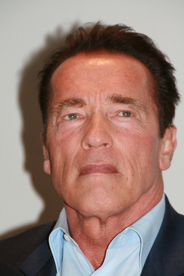 Arnold Schwarzenegger Poster G680664
