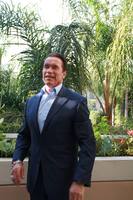 Arnold Schwarzenegger Tank Top #1121886