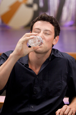 Cory Monteith Stickers G682176