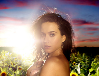 Katy Perry puzzle G693193