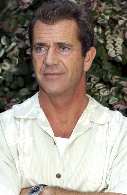 Mel Gibson puzzle G704123