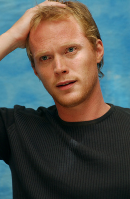 Paul Bettany Poster G710244