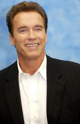 Arnold Schwarzenegger Poster G711784
