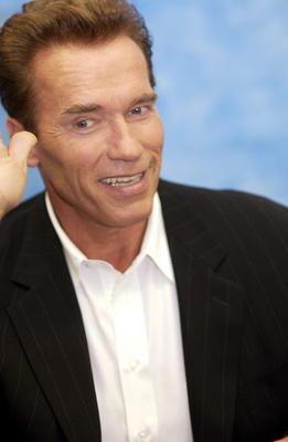 Arnold Schwarzenegger Poster G711788