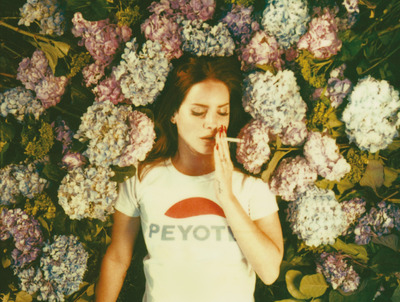 Lana Del Rey Poster G721498