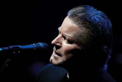 Don Henley poster