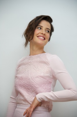 Cobie Smulders Stickers G736275