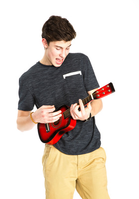Shawn Mendes Stickers G759405