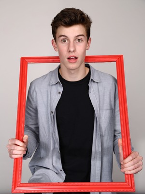 Shawn Mendes Stickers G772156