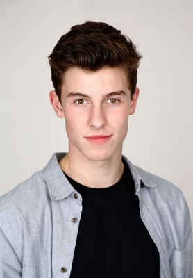 Shawn Mendes Stickers G772161