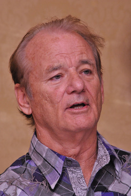 Bill Murray puzzle G780454