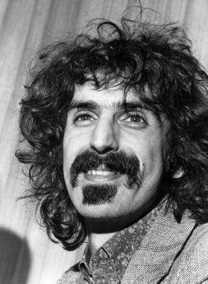 Frank Zappa wooden framed poster