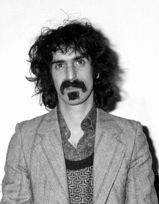 Frank Zappa puzzle G814666