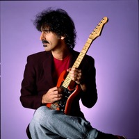 Frank Zappa t-shirt #1312447