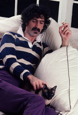 Frank Zappa Poster G814703
