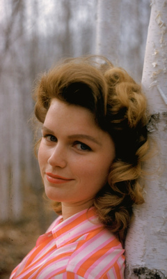 Lee Remick Stickers G817248