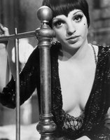 Liza Minnelli tote bag #G829710