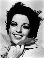 Liza Minnelli tote bag #G829721