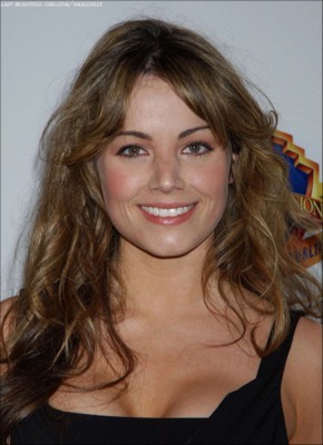 Erica Durance Poster G83019