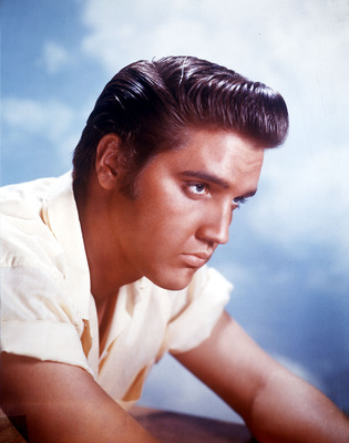 Elvis Presley puzzle G831870