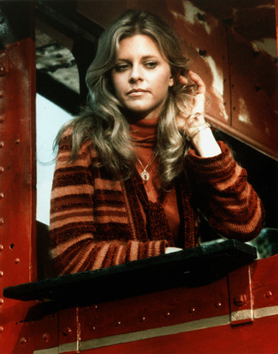 Lindsay Wagner puzzle G842548