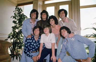 The Osmonds puzzle G843051