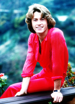 Andy Gibb Poster G850118