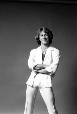 Andy Gibb Poster G850145
