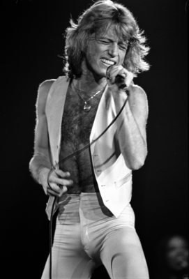 Andy Gibb Poster G850164