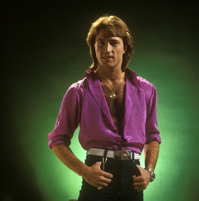 Andy Gibb Poster G850166
