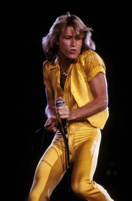 Andy Gibb Poster G850178