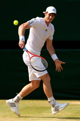 Andy Murray puzzle G850763