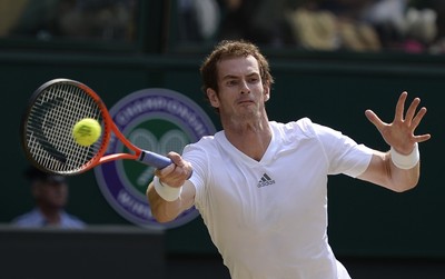 Andy Murray puzzle G850870