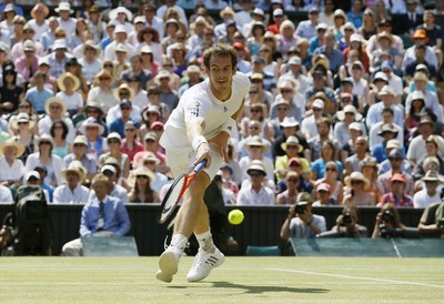 Andy Murray puzzle G850957