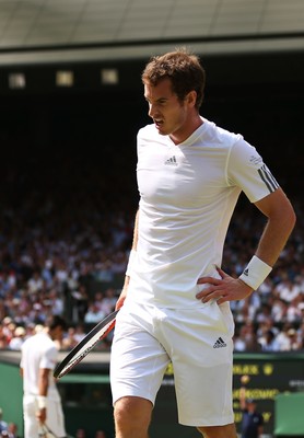 Andy Murray Poster G855207