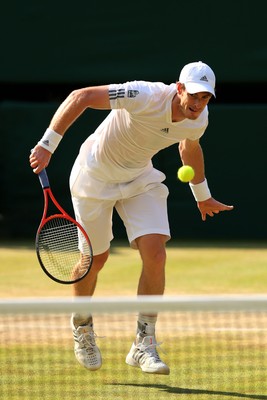 Andy Murray Poster G855407