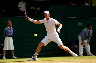 Andy Murray Poster G855418