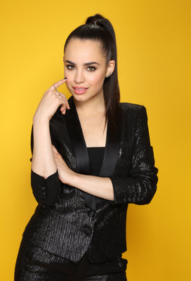 Sofia Carson poster with hanger