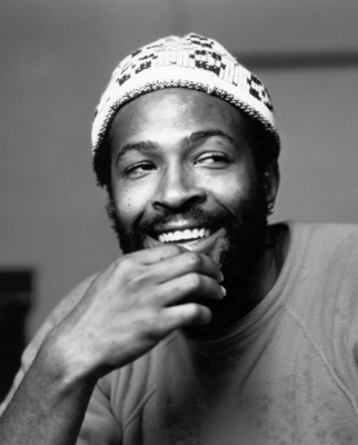Marvin Gaye puzzle G894517