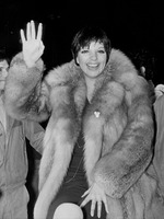 Liza Minnelli tote bag #G911441