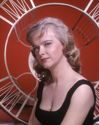 Anne Francis Poster G913238