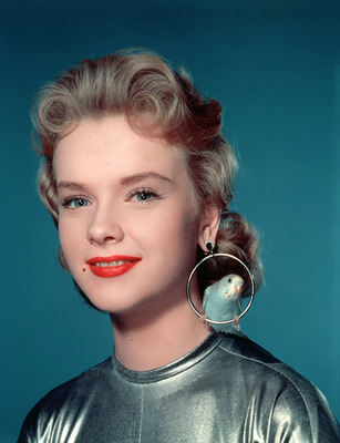 Anne Francis Poster G913294