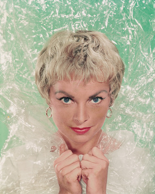 Janet Leigh puzzle G926697