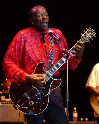 Chuck Berry puzzle G944552