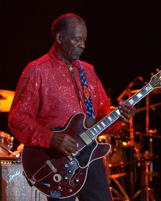 Chuck Berry puzzle G944597