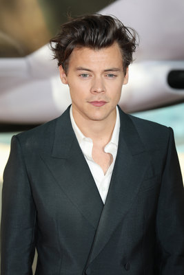 Harry Styles Poster G958531