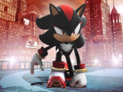 Shadow the hedgehog poster with hanger
