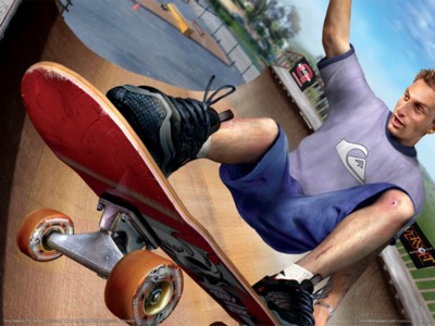 Quadro poster Decorativo Tony Hawk skate A3