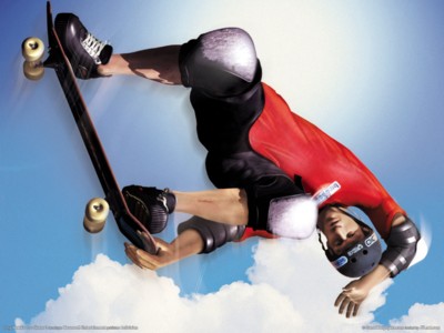 Tony hawks pro skater 3 poster with hanger