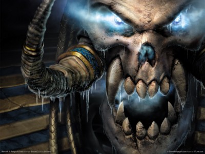 Warcraft 3 reign of chaos magic mug #GW11853